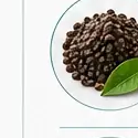 BioPerine (Black Pepper Extract)