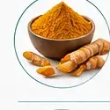 Turmeric Extract (Curcumin)